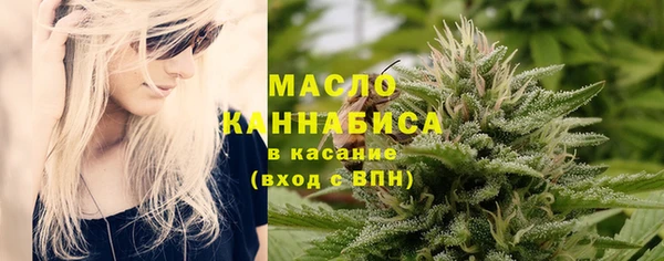 крисы Богородицк