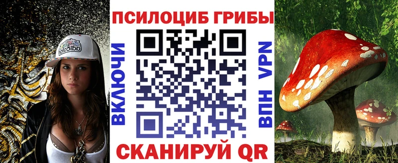 Псилоцибиновые грибы мицелий наркотики мега зеркало Гусев